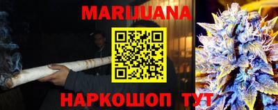сатива Моздок